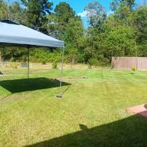A person is standing under a canopy in a backyard.