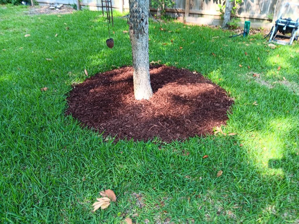 A tree is surrounded by mulch in a lush green yard.