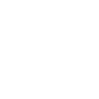 Icon Apartment Homes at Ferguson Farm logo.