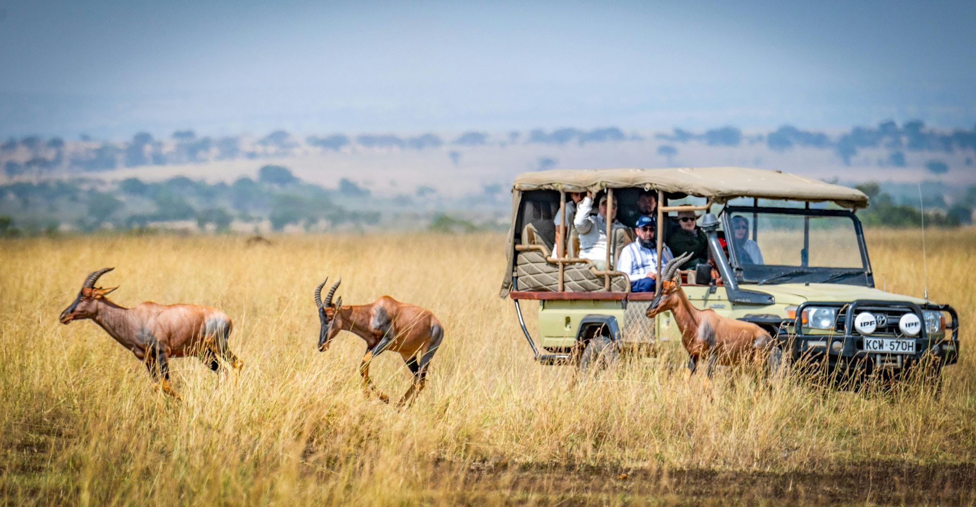 Un jeep de safari observa antílopes entre la hierba alta de la sabana.