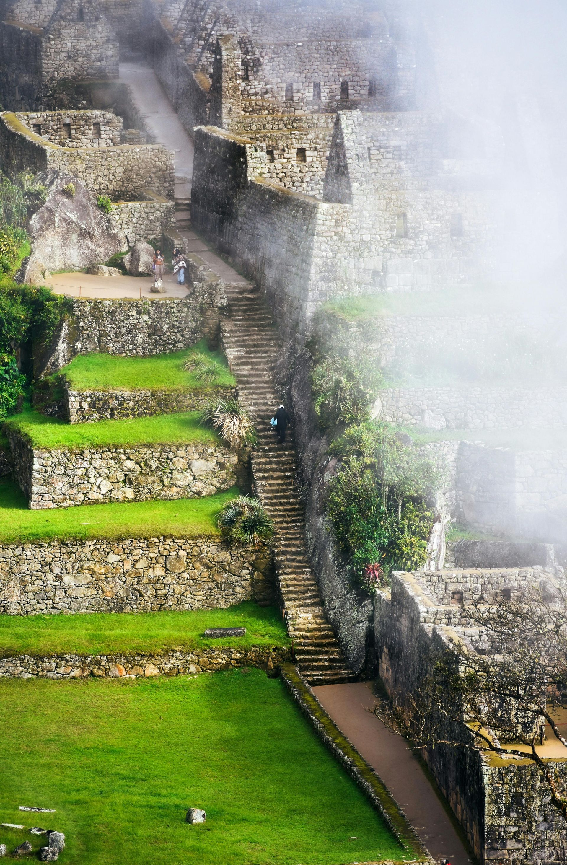 Antiguas terrazas y escalones de piedra junto a una ruina cubierta de niebla y con hierba de un verde brillante.