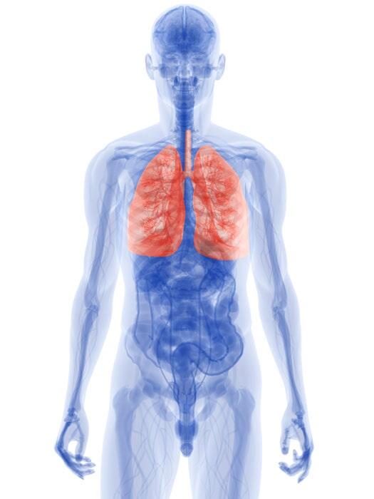 DR NOÉ NÁJERA GONZÁLEZ - AL CUIDADO DE TU SALUD