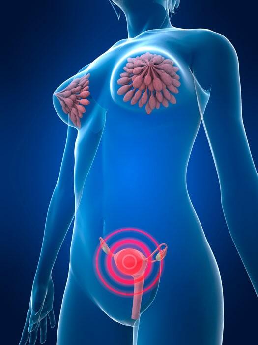 DR NOÉ NÁJERA GONZÁLEZ - convenios con distintos seguros