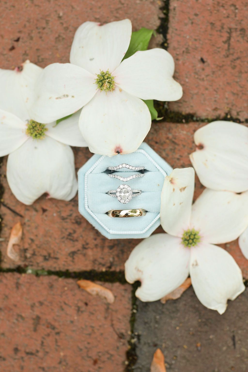 A couple of wedding rings in a blue box surrounded by white flowers.