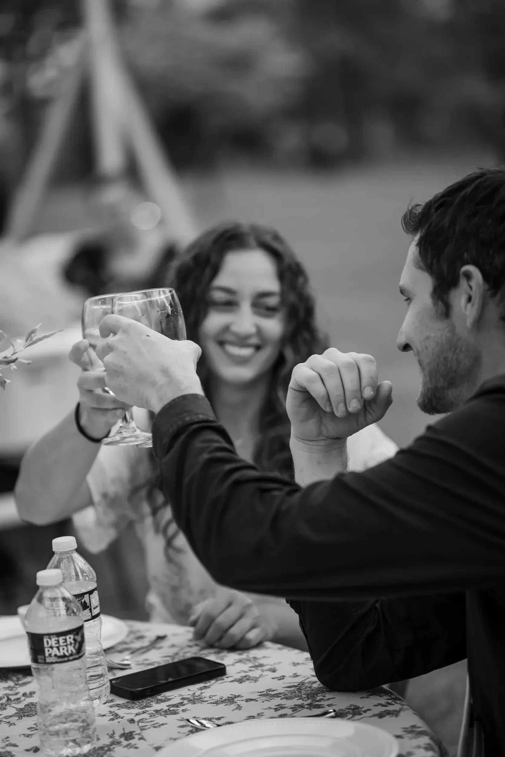 A group of people are sitting at a table toasting with wine glasses.