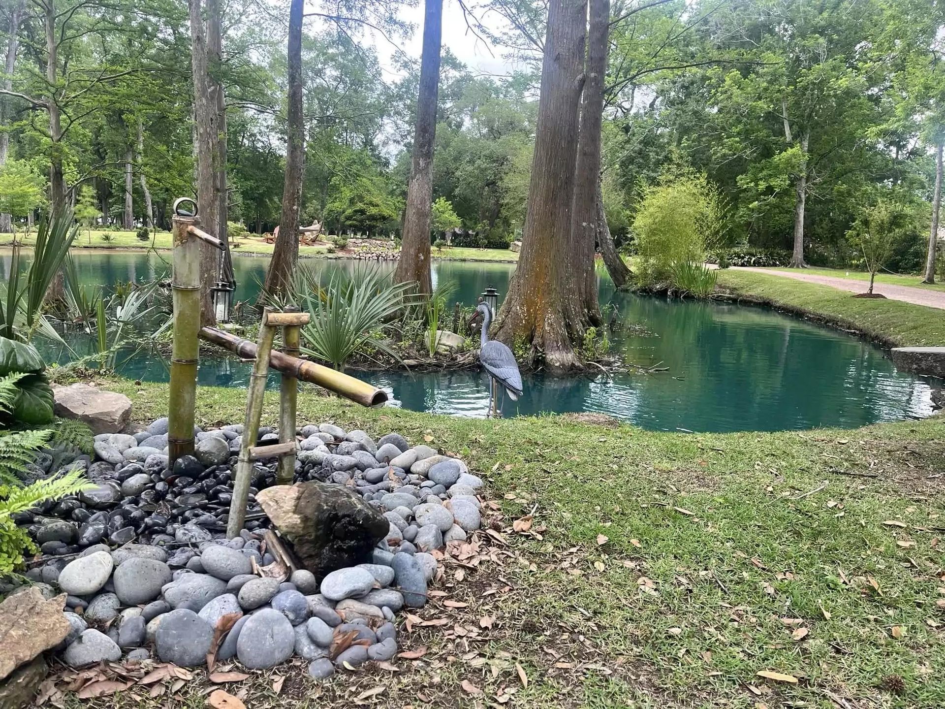 A pond surrounded by trees and rocks in a park.