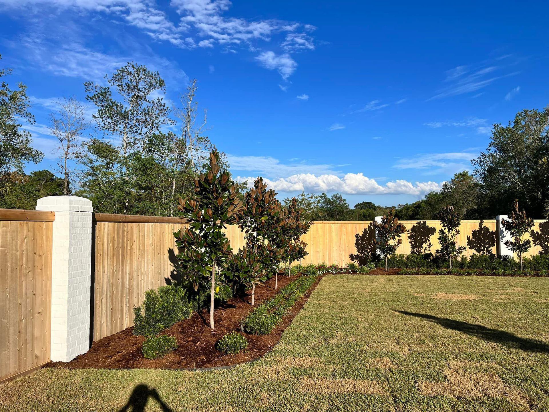 A wooden fence surrounds a lush green yard with trees and bushes.