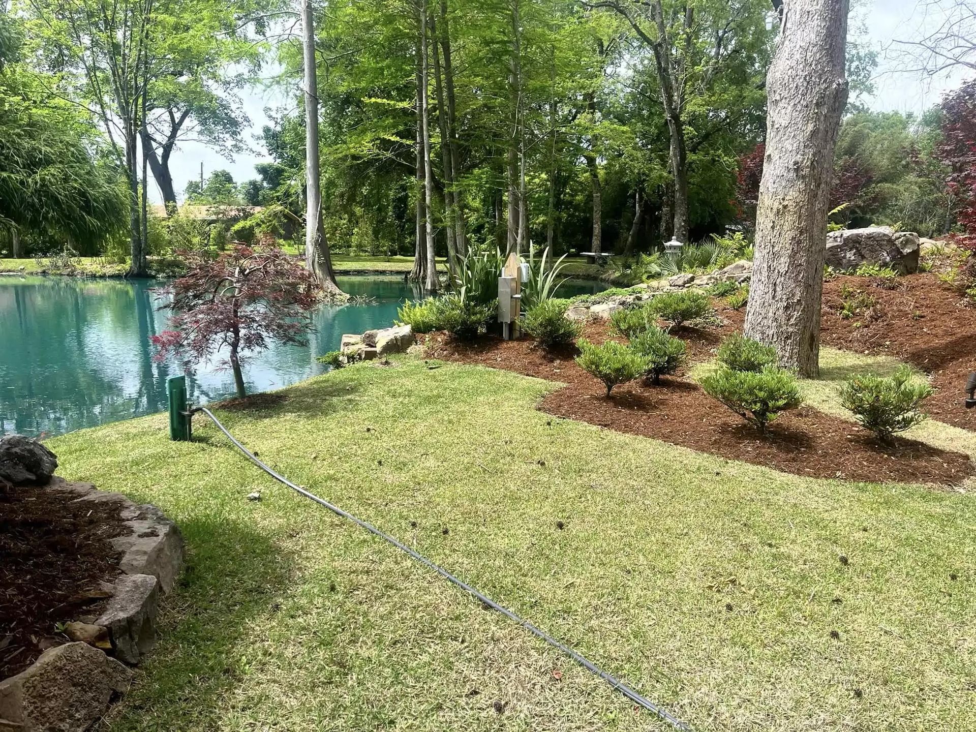 A lush green lawn with trees and a pond in the background.