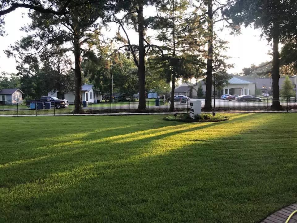 A lush green lawn with trees and houses in the background