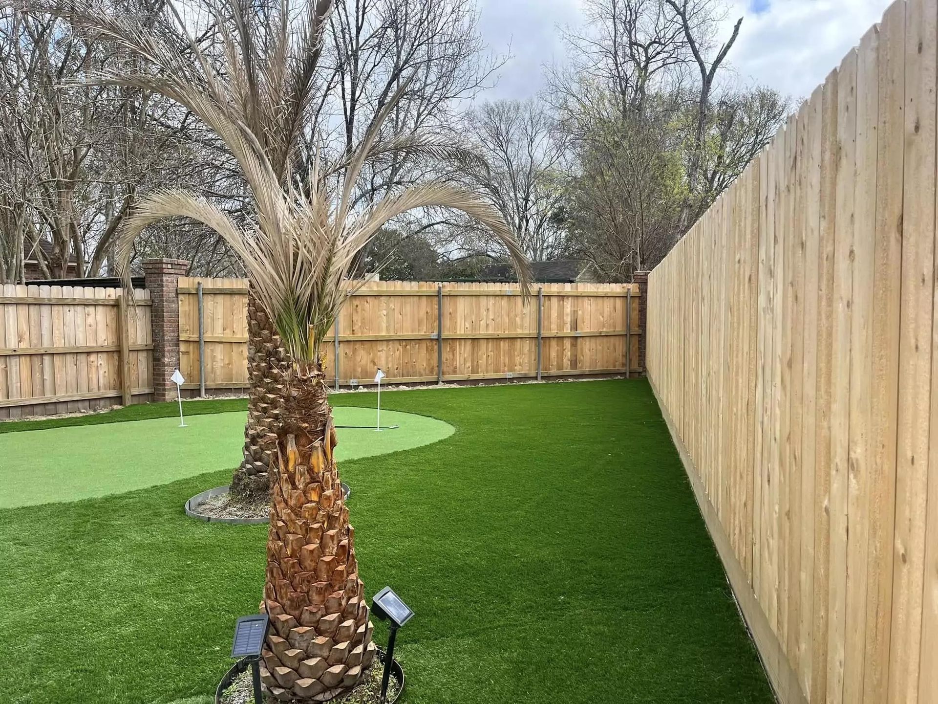 There is a palm tree in the middle of the backyard.