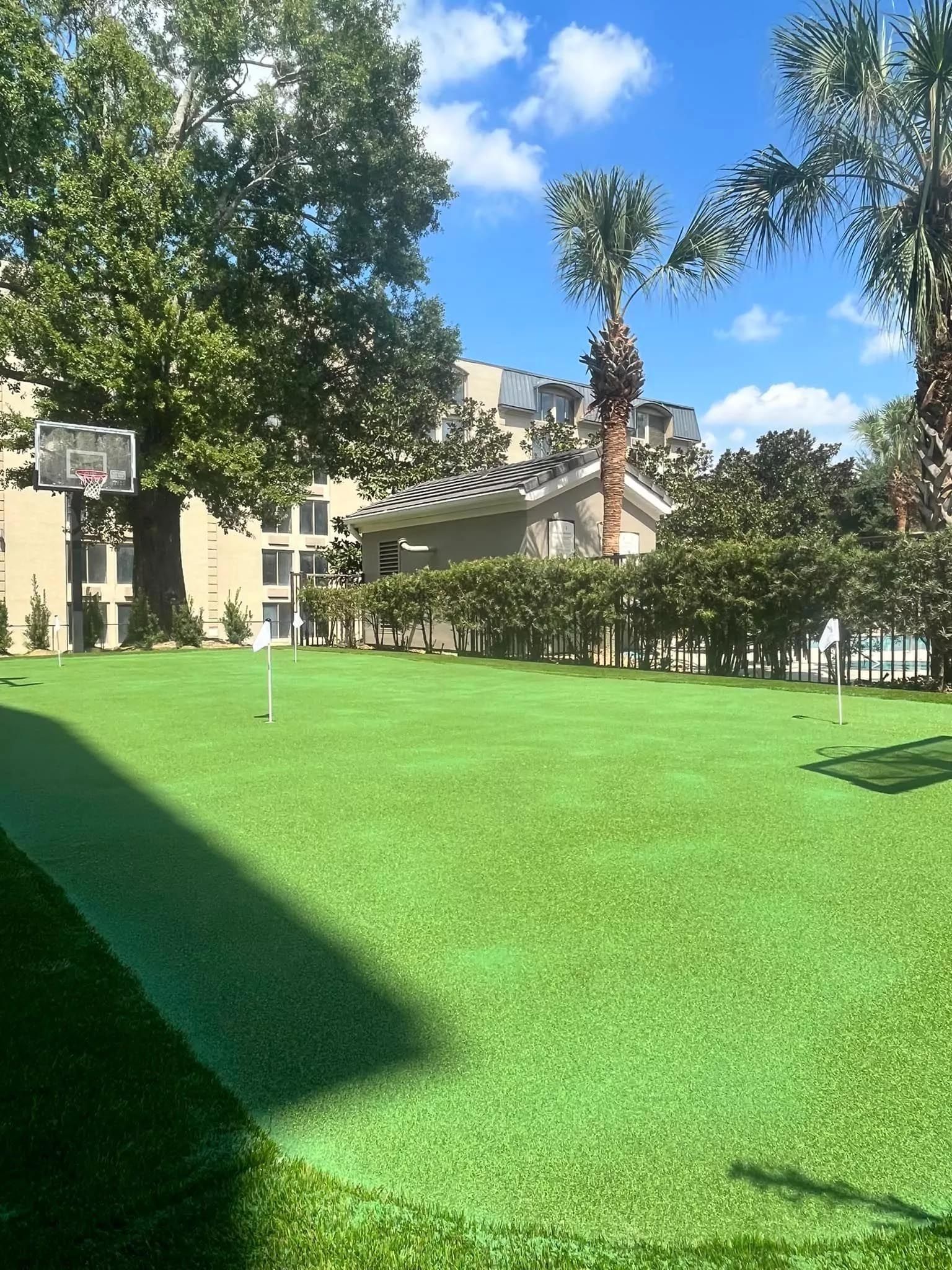 A basketball hoop is in the middle of a lush green field.