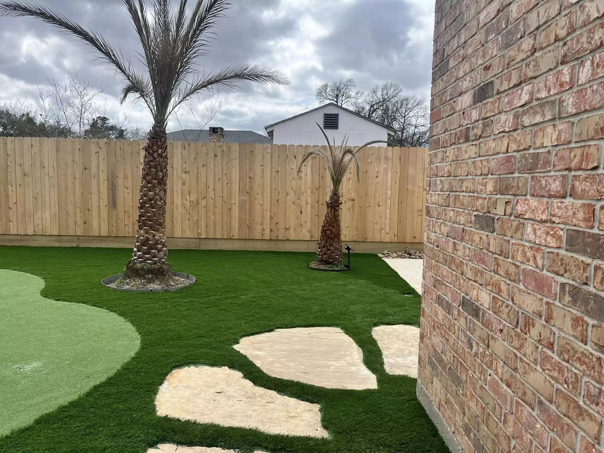 A backyard with a wooden fence and a palm tree.