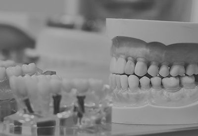 A black and white photo of a model of teeth on a table.