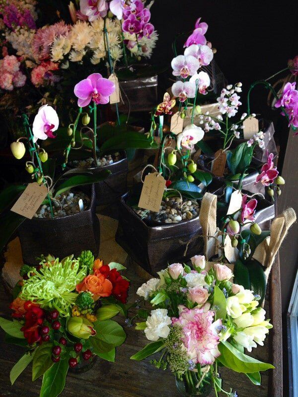 Orchids And Flower Bouquets — Florists In Woolgoolga, NSW