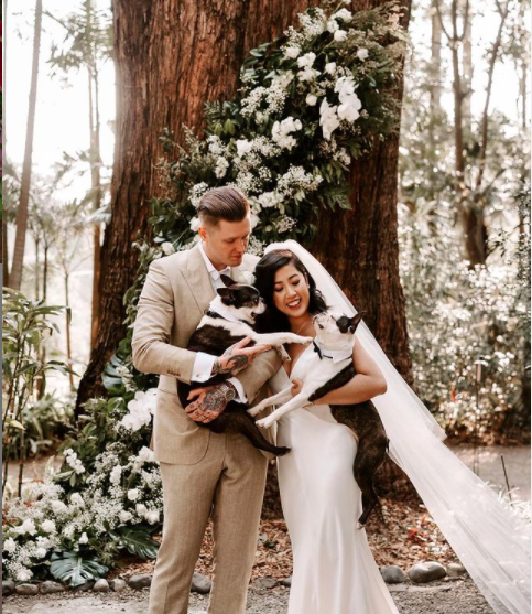 Couple with Dogs — Florists In Woolgoolga, NSW