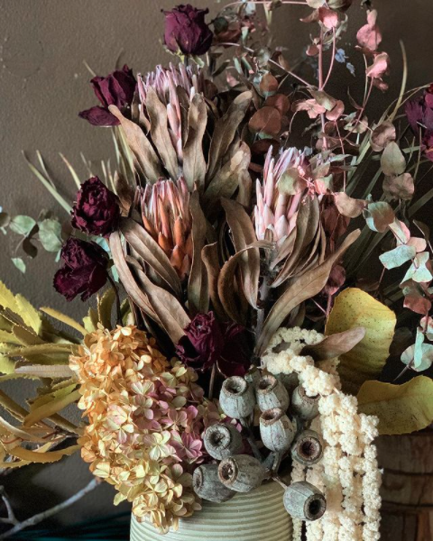 Red Carnation — Florists In Woolgoolga, NSW