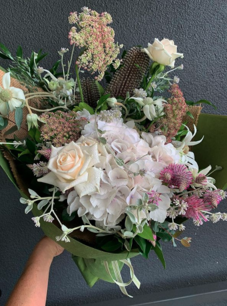 Pink Carnation — Florists In Woolgoolga, NSW