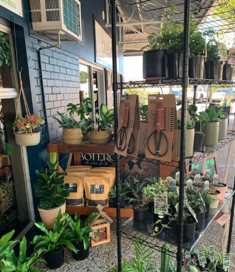 Plant Cabinet — Florists In Woolgoolga, NSW