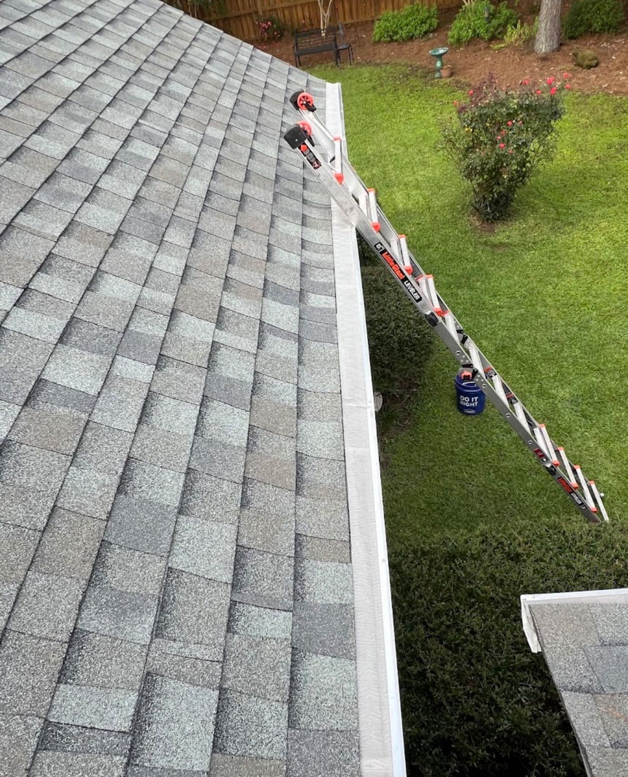 Ladder leaning against a roof gutter on a house, with green grass and bushes in the background.