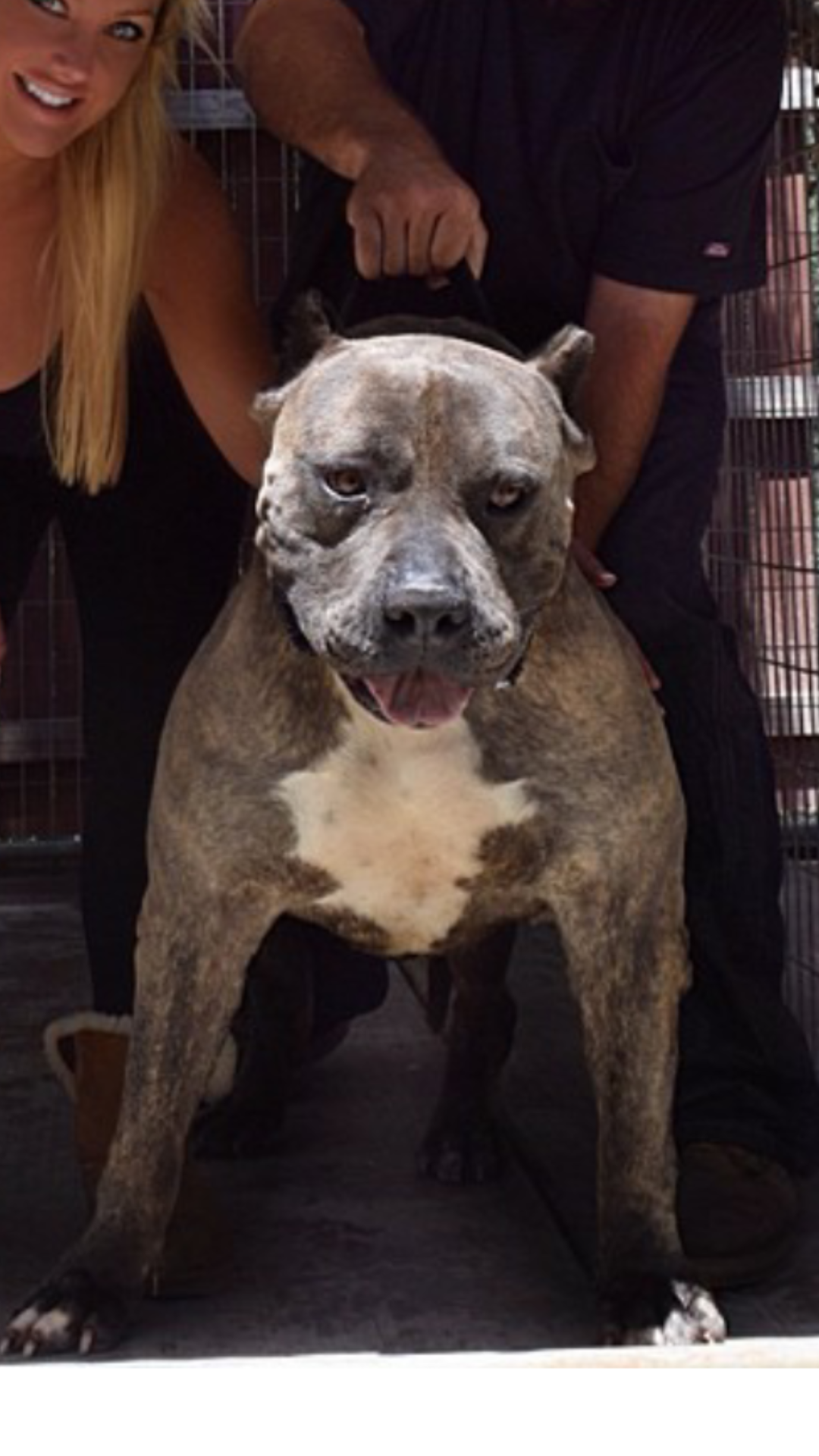 I am across steel fish with wife of  MVP kennels