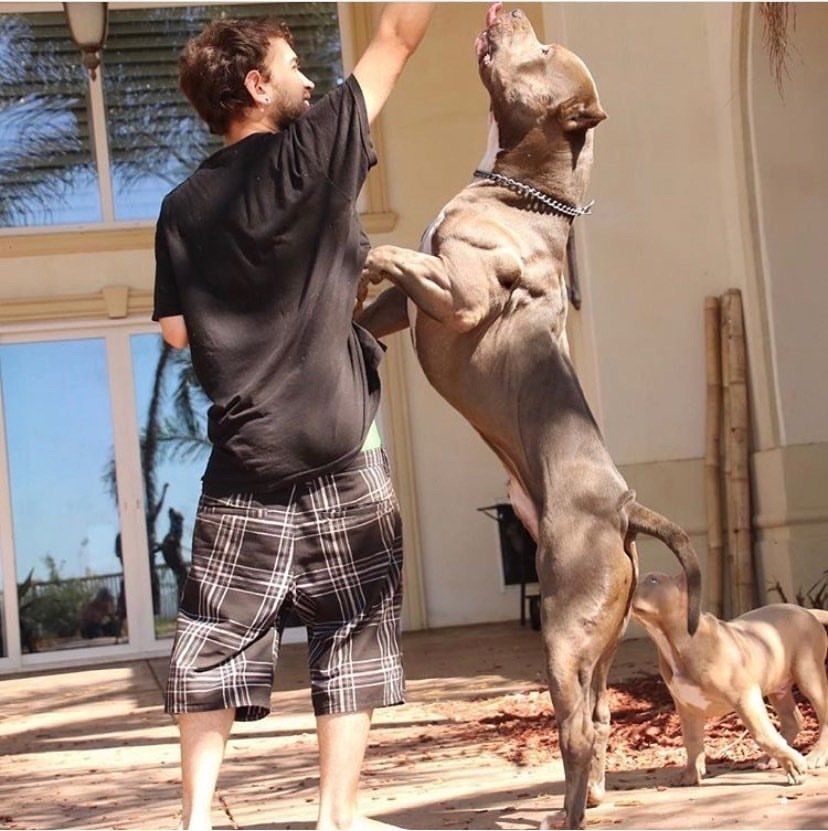 Triple Cross Sinister 