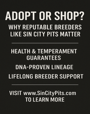 Text graphic stating “Adopt or Shop? Why reputable breeders like Sin City Pits matter,” with bullet 