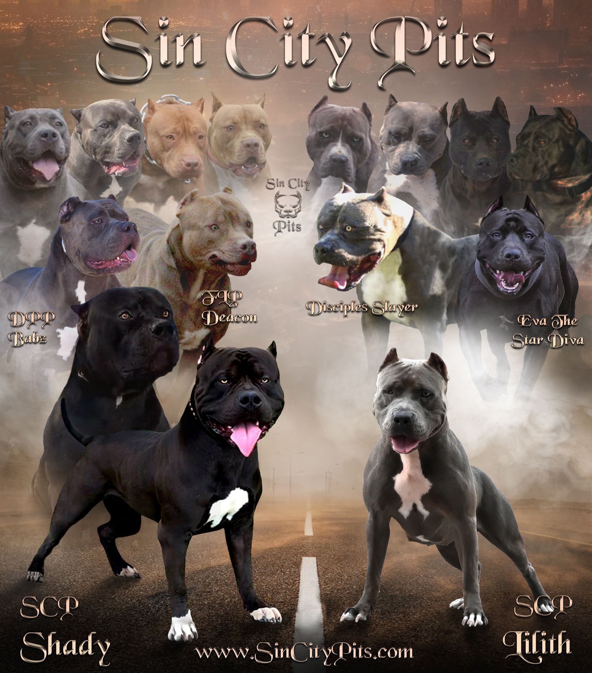 Colossus X Babz Breeding