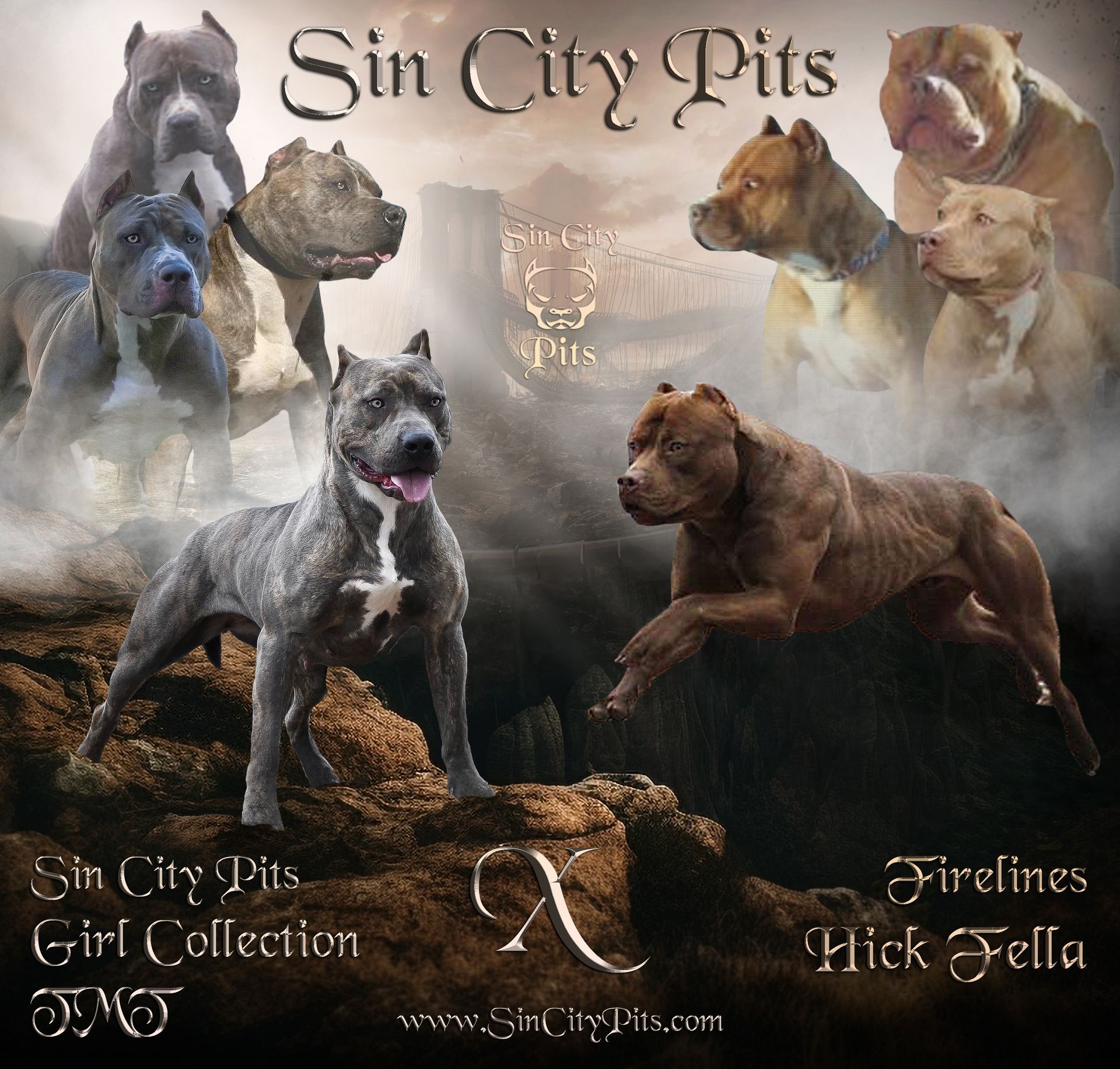 Colossus X Babz Breeding