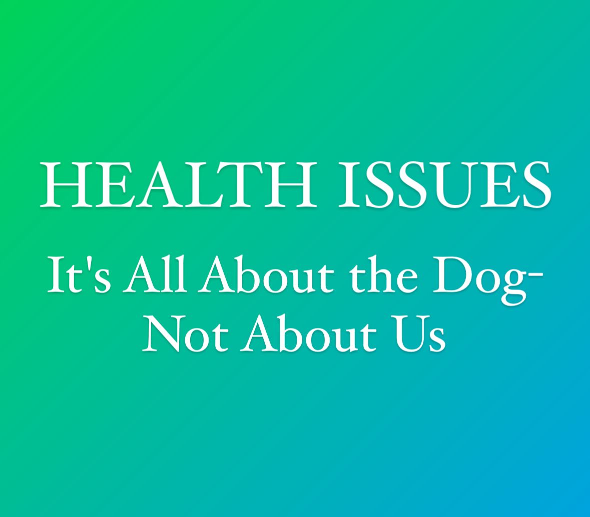 Promotional image about proper dog breeding and health tips from Sin City Pits featuring the America
