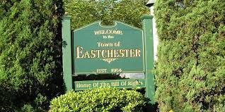 Plumbing services Eastchester
