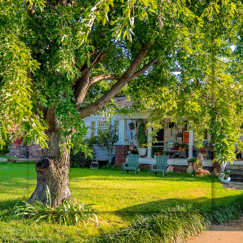 Green tree shading a white house with a porch, green lawn, and two green chairs.