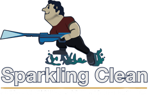 sparkling clean pressure washing