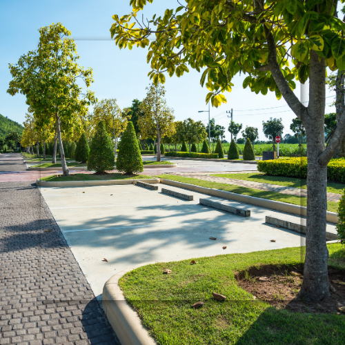 Parking lot with trees and green grass. Sunny day.