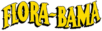 flora bama motorsports and equipment sales