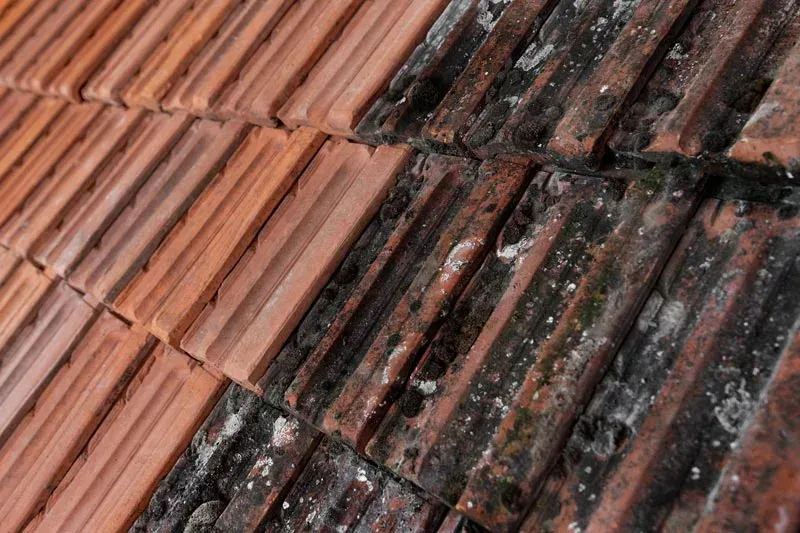 Close-up of a tiled roof showing clean red tiles on one side and mossy, dark tiles on the other.