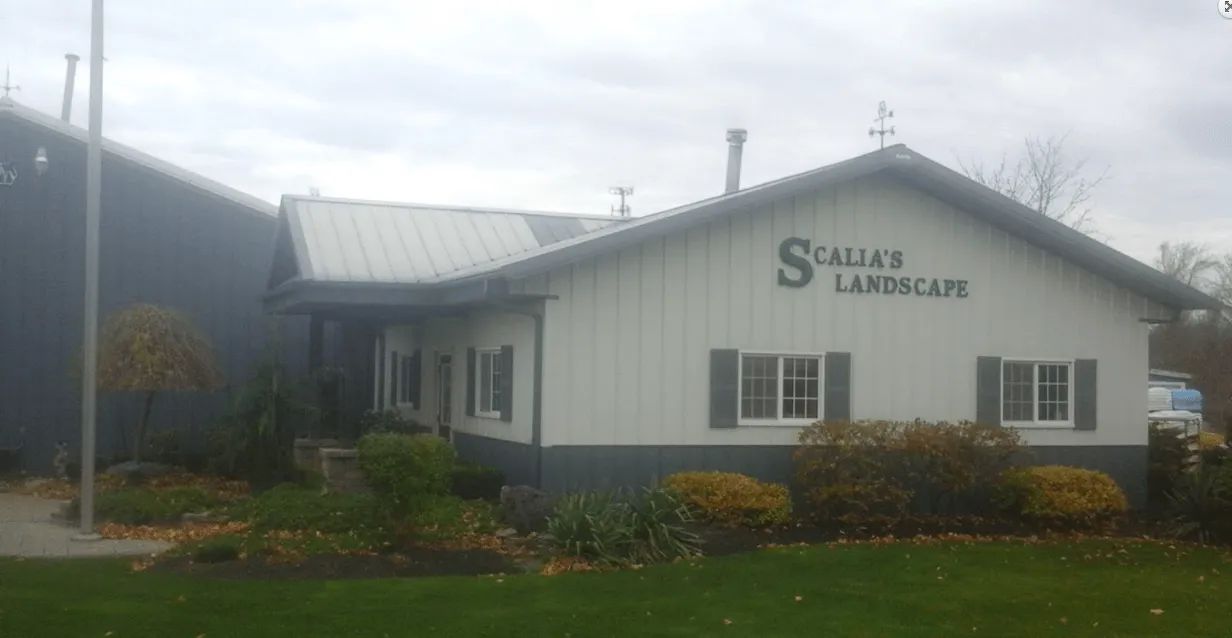 landscaping project