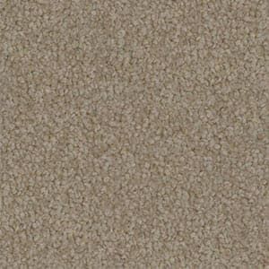 A close up of a beige carpet texture.