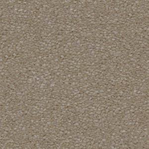 A close up of a beige carpet texture.