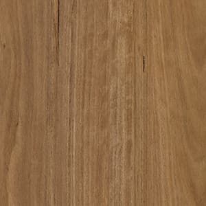 A close up of a piece of wood showing the grain and texture.