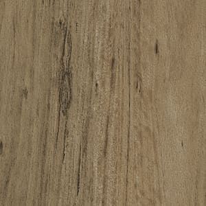A close up of a piece of wood showing the grain and texture.