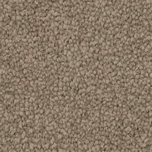 A close up of a beige carpet texture.