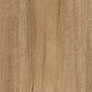 A close up of a piece of wood showing the grain and texture.