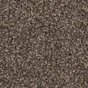 A close up of a brown carpet texture.