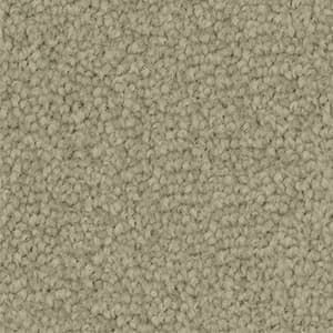 A close up of a beige carpet texture.