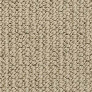 A close up of a beige carpet texture.