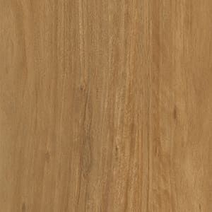 A close up of a piece of wood showing the grain and texture.