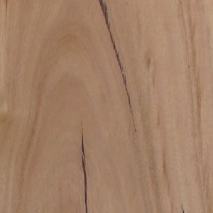 heartridge australian species blackbutt timber