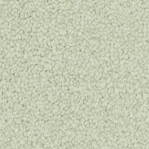 A close up of a white carpet texture.