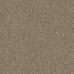 A close up of a beige carpet texture.