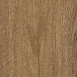 A close up of a piece of wood showing the grain and texture.